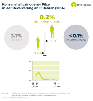 3.7% der Personen ab 15 Jahren haben in ihrem Leben bereits halluzinogene Pilze genommen. 0.2% haben es im letzten Jahr und weniger als 0.1% im letzten Monat genommen. Der Konsum halluzinogener Pilze im vergangenen Jahr ist unter jungen Personen stärker verbreitet. Bei Männern (0.3%) ist er häufiger als bei Frauen (0.1%) (Daten für 2014).